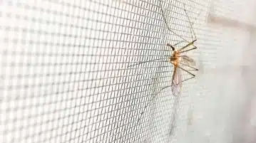 Comment poser une moustiquaire velcro facilement et efficacement