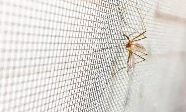 Comment poser une moustiquaire velcro facilement et efficacement