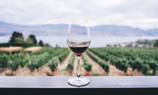 Nero d'Avola : un cépage de raisin rouge originaire de Sicile