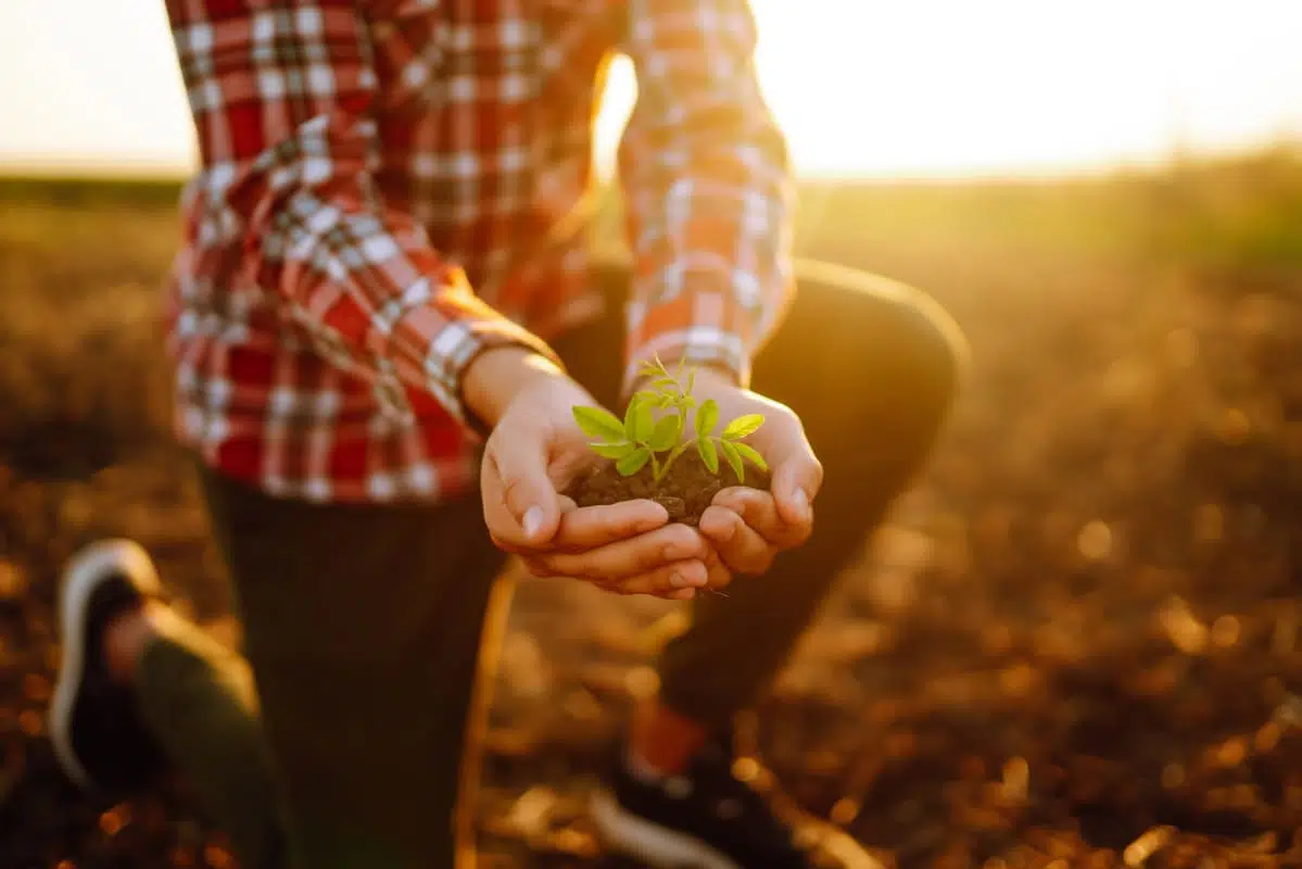 se faire former dans le secteur de l’environnement